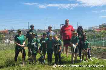 HELPERS: Newmarket Hawks dig in to support food network - NewmarketToday.ca