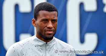 Gini Wijnaldum 'dream transfer' from PSG lined up one year after Liverpool exit