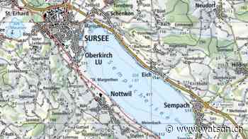 Zwei Männer fallen in Oberkirch LU in Güllenloch und sterben - watson