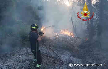 Massa Martana, venti ettari in fiamme. Ancora un incendio domenica: 115 in azione senza sosta - umbriaON