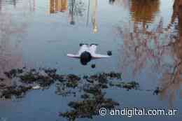 Broma pesada: Parecía un cuerpo flotando en Ensenada y terminó siendo una bolsa - ANDigital