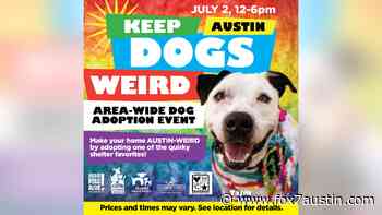City-wide adoption event on July 2 celebrates 'weirdo' dogs in Austin shelters - FOX 7 Austin