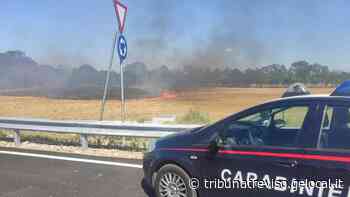 Rogo di sterpaglie a Spresiano, in fiamme 18 mila metri quadri - La Tribuna di Treviso