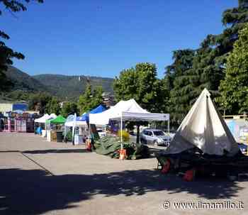 Colleferro | "Sull'estate colleferrina il Comune deve ascoltare i commercianti" - ilmamilio.it - L'informazione dei Castelli romani