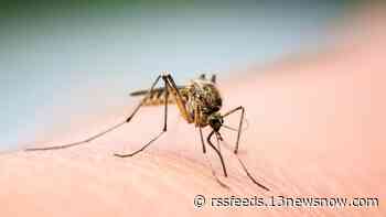 2 mosquito samples test positive for West Nile Virus in Colonial Place part of Norfolk