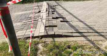 Vluchtheuvels in Mol en Kasterlee komen omhoog door hitte - Het Laatste Nieuws