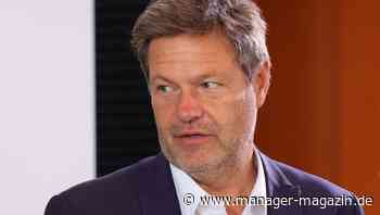 LNG-Terminals: Robert Habeck geht von Start zum Jahreswechsel aus