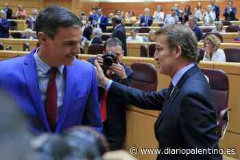 El talón de Aquiles de Sánchez - Diario Palentino