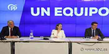 El PP advierte a Sánchez de que no le salvará ante la OTAN si no pone orden en su Gobierno - ABC.es