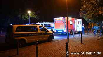 300 Menschen im James-Simon-Park und wieder Polizei-Einsatz - B.Z. – Die Stimme Berlins