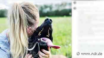 Vorwürfe gegen Polizei-Influencerin: Hintergründe aus Hannover - NDR.de