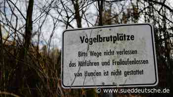 Garching - Zaun soll Vogelbrutgebiet gegen Vermüllung schützen - Landkreis München - Süddeutsche Zeitung - SZ.de