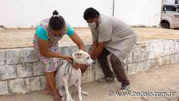 Crato realiza vacinação antirrábica neste sábado (2); saiba em quais bairros - Badalo