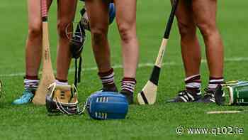 Dublin beat Wexford to book quarter-final spot - Q102