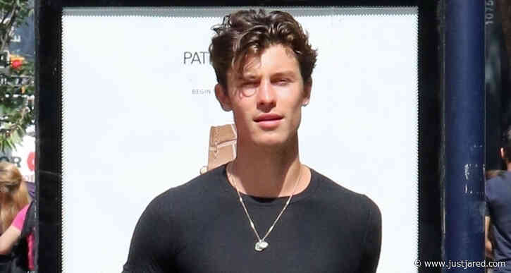 Shawn Mendes Goes Sporty for Breakfast in Vancouver