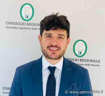 Ancona / Marco Ausili (FdI): «Valorizzare l'apicoltura nella nostra regione» - QDM Notizie