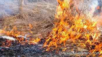 Prevenzione incendi Boschivi, le linee guida del Comune di Fano - Vivere Fano