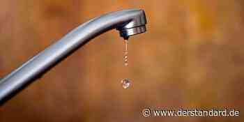 Hamburg könnte bei Gasmangel Warmwasser rationieren - Wirtschaft - DER STANDARD