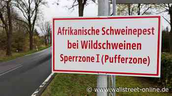 Tierschutzbund drängt auf mehr Forschung zu Schweinepest-Impfstoff Wirtschaft - wallstreet:online AG