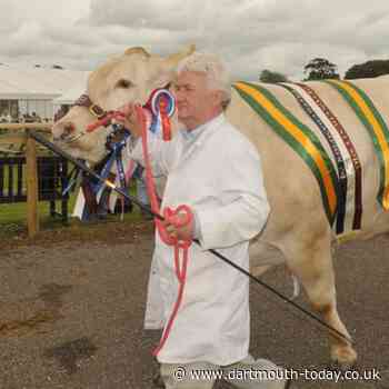 Prize winning cattle strut their stuff | dartmouth-today.co.uk - Dartmouth Chronicle