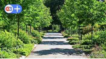 Warum der Nordfriedhof in Kiel mehr ist als eine Gedenkstätte - Kieler Nachrichten