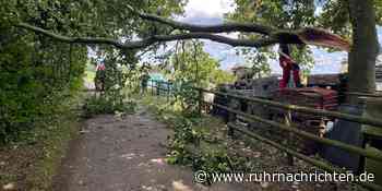 Einsätze für Feuerwehr Raesfeld - Ruhr Nachrichten