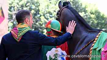Siena, dalla stalla del Drago: Zio Frac, l'esordiente che vince con la calma - CavalloMagazine