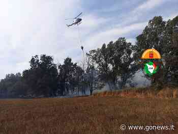 Brucia la Toscana a sud: doppio incendio tra Siena e Grosseto - gonews