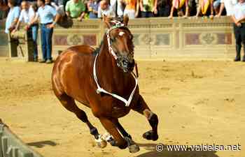 Domenica 26 giugno a Siena De Mossi svelerà il drappellone per il Palio del 2 luglio - Valdelsa.net