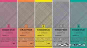 Referendum, nella provincia di Siena è andato a votare il 16% della popolazione - Siena News