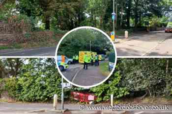 Hempstead Road crossing trees cut back after woman killed