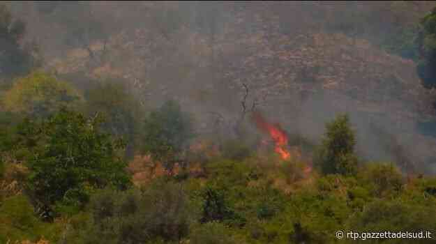 Messina, temperature bollenti e rischio incendi - Messina