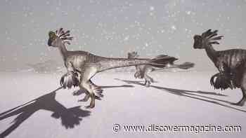Dinosaurs Survived Through Freezing Poles Before Jurassic Jungles