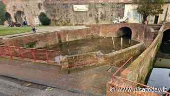 Passante trova un borsello con 1600 euro in contanti: la Polizia rintraccia la proprietaria - PisaToday