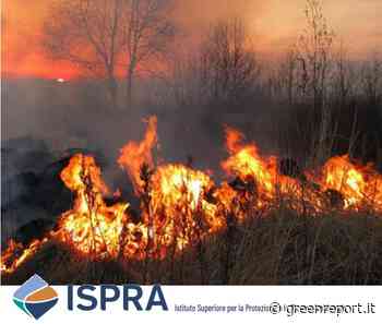 Incendi, Ispra: nel 2021 in Italia bruciati il triplo degli ettari del 2020 - Greenreport: economia ecologica e sviluppo sostenibile