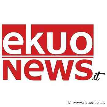 Tutela del Fratino, pareri tecnici ISPRA su kite surfing e tutela nidificazione – ekuonews.it - ekuonews.it