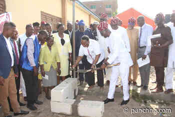 Ex-Lagos students seek Ivy status for alma mater - Punch Newspapers