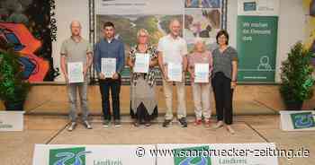 Auszeichnung für die Stillen Stars im Landkreis Merzig-Wadern - Saarbrücker Zeitung