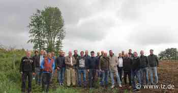 Finanzspritze für einen gesunden Forst | Lokale Nachrichten aus Detmold - Lippische Landes-Zeitung
