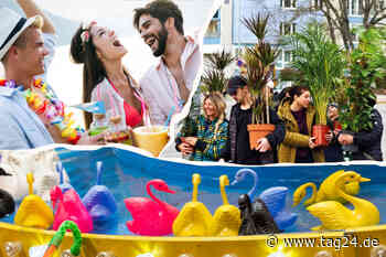 Sommer pur am Samstag mit unseren Tipps für Euren Ausflug in Chemnitz und Umgebung - TAG24