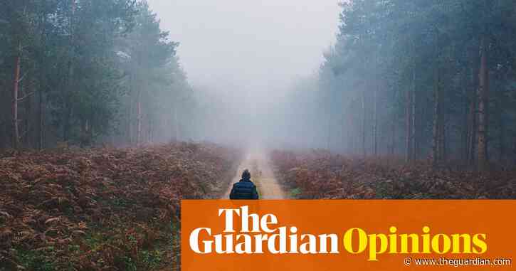 Unplugging from the mind trap of online noise made me realise tuning out is the only way to truly tune in | Paul Daley