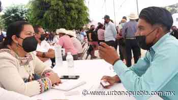 Productoras y productores de aguacate de la región de Atlixco recibirán apoyo - Urbano | Noticias Mexico - Urbano Puebla