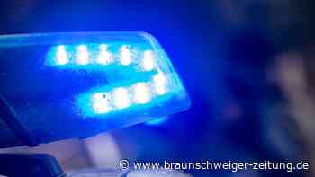 Schüsse in Kopenhagener Einkaufszentrum - Festnahme