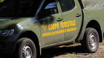 La Sicilia continua a bruciare, roghi a Monreale e Collesano - Giornale di Sicilia