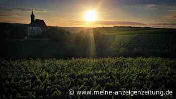 Mit Vitamin D angereicherte Lebensmittel könnten zehntausende Leben retten