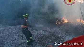Incendi in Umbria, fiamme da Spoleto a Cascia. Prosegue l'emergenza siccità - LA NAZIONE