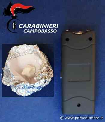 Viola obbligo dimora a Tremiti e si imbarca per Termoli: trovato con taser e droga, va in carcere - Primonumero