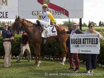 2,000 career wins for trainer Roger Attfield - The Sherwood Park-Strathcona County News