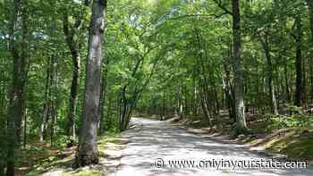 Take A Paved Loop Trail Around This Rhode Island Pond For A Peaceful Adventure - Only In Your State