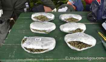 Partieron de Eldorado con marihuana hacia Buenos Aires y los interceptaron en Entre Ríos - RevistaCodigos.com